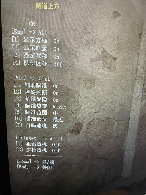 CSGO CN辅助